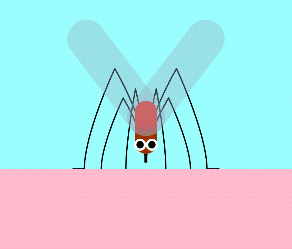 Linelobs – Mosquito Funny Character Animation